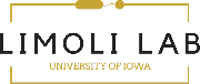 University of Iowa Logo