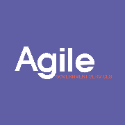 Agile Government Services, Inc Logo