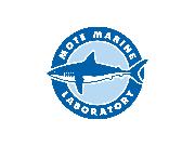 Mote Marine Laboratory Logo