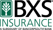 BXS Insurance Logo