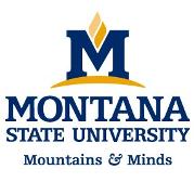 Montana State University Logo