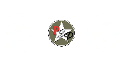 P2P Transformation Center Logo