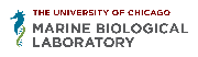 Marine Biological Laboratory Logo