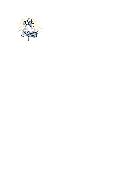 Catholic Cemeteries Assoc. Logo