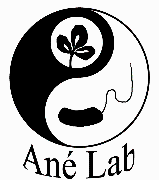 Ané Lab - University of... Logo