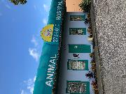 Union park animal hospital Logo