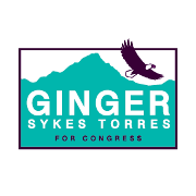 Ginger Sykes Torres for Arizona Logo