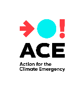 www.acespace.org Logo