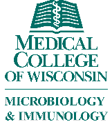 The Medical College of Wisconsin-Department of Microbiology & Immunology Logo