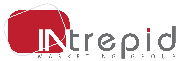 Intrepid Marketing Group Logo