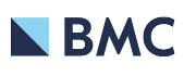 Springer Nature Logo