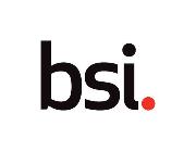 BSI Consulting Logo