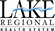 DCCS Consulting Logo