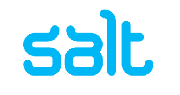 Salt Logo