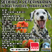 Everhart Veterinary Medicine Logo