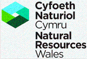 Natural Resources Wales Logo