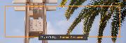 Pitzer College Logo
