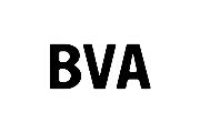 Bureau V Architecture Logo