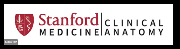 Stanford- Clinical Anatomy Logo