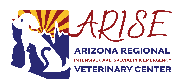 Arizona Regional Intensive... Logo