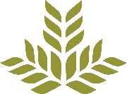 Registered Nurse Stroke/Neuro Logo