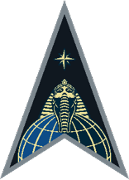 United States Space Force: Delta 18 (NSIC) Logo