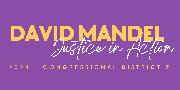 David Mandel for Congress 2024