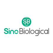 Sino Biological US. Logo