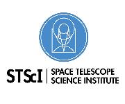 Space Telescope Science Institute Logo