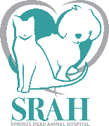 Springs Road Animal Hospital Springs Road Animal Hospital