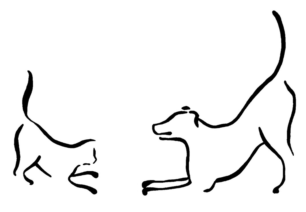 Laurel Park Animal Hospital