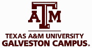 Texas A&M University at... Logo