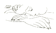 Pulmonary and Sleep Associates... Logo