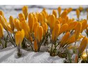 Women's Counseling of Nashua, LLC