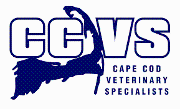 Cape Cod Veterinary Specialists Logo