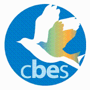 Central Boston Elder Services Central Boston Elder Services