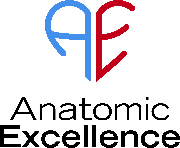 Anatomic Excellence LLC