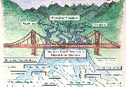Bay Area RaMP Program in Microbiome Sciences