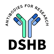 DSHB (Developmental Studies Hybridoma Bank)