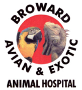 Broward Avian & Exotic Animal... Logo