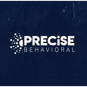 Precise Behavioral Logo