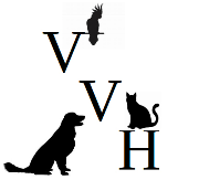 Village Veterinary Hospital
