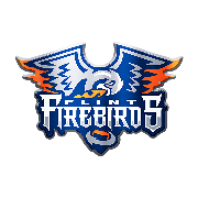 Flint Firebirds Hockey