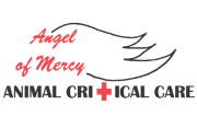 Angel of Mercy Animal Critical Care