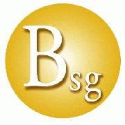 Birdsall Engineering, Inc.