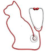 Allentown Cat Clinic Logo