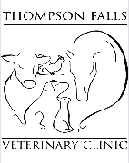 Ingram Veterinary Clinic, PLLC Logo