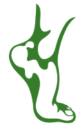 Advanced Foot & Ankle Care... Logo