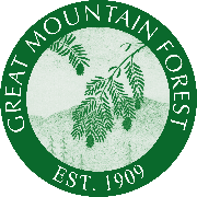 Great Mountain Forest