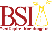 BSI